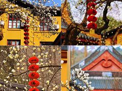 -杭州上天竺法喜讲寺