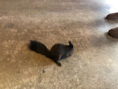 -MOJO密室逃脱(中街旗舰店)