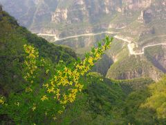 -山西通天峡景区