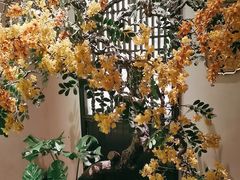 -金链花·泰国餐厅(国贸店)