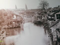 -西塘人家•黑金冠本地好店