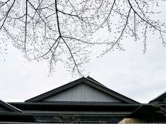 -名古屋城