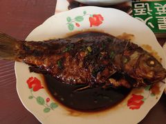 -青浦采草莓天天草莓园