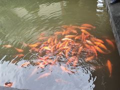 -浙江省博物馆(孤山馆区)