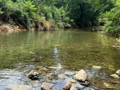 -北仑森林植物园