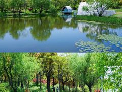 -上海长兴岛郊野公园
