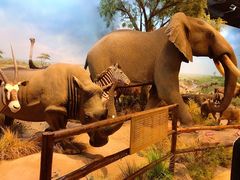 -陕西自然博物馆