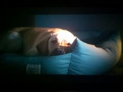 -星河国际影城(新会店)