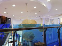 -潇湘楼(环保园店)