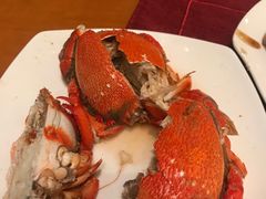 -视界美食自助餐厅·石家庄希尔顿酒店