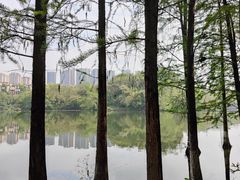 -重庆彩云湖湿地公园