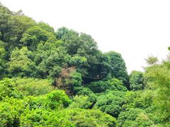-天鹿湖森林公园
