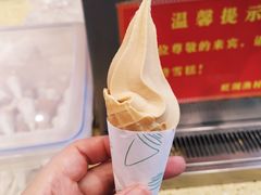 -国家五钻酒家·西樵旺阁渔村(西樵店)