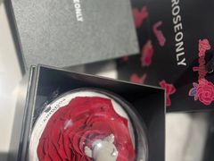 -ROSEONLY诺誓(广州K11店)