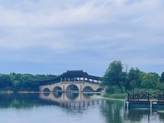 -长广溪湿地公园