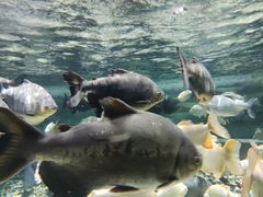 -成都浩海立方海洋公园