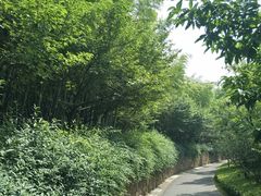 -苏州环秀晓筑养生度假村