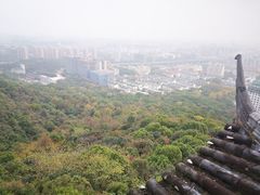 -杭州半山国家森林公园