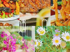 -遇见小院—虹鳟鱼•农家菜(怀柔店)