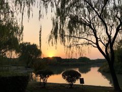 -东华大学(松江校区)