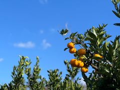 -瑞慈体检上海松江机构