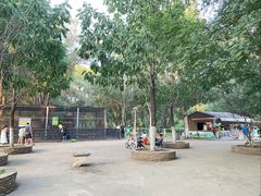 -长白岛森林公园