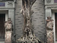 -龙潭水乡