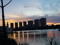 -美的鹭湖森林度假区