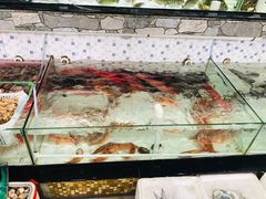 鱼池-沙田台山海鲜·酣客酒窖