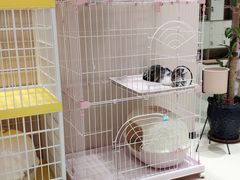 -藏猫猫咖啡主题馆(中央大道店)