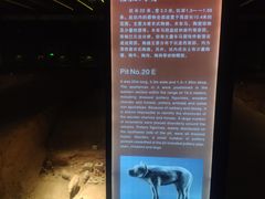 -汉景帝阳陵博物院