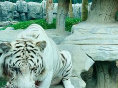 -北京野生动物园