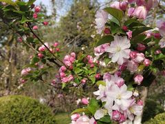 -元大都城垣遗址公园