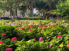 -常州古运河南大街文化旅游区-人民公园