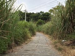 -小皓村