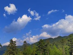 -大围山国家森林公园