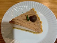 -猫里有甜