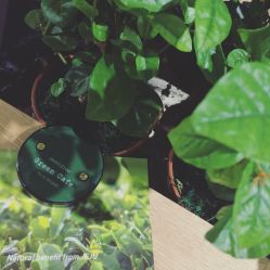 -悦诗风吟innisfree