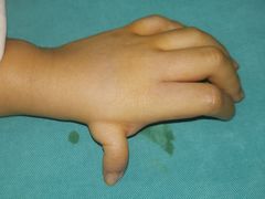 -华中科技大学同济医学院附属协和医院(主院区)