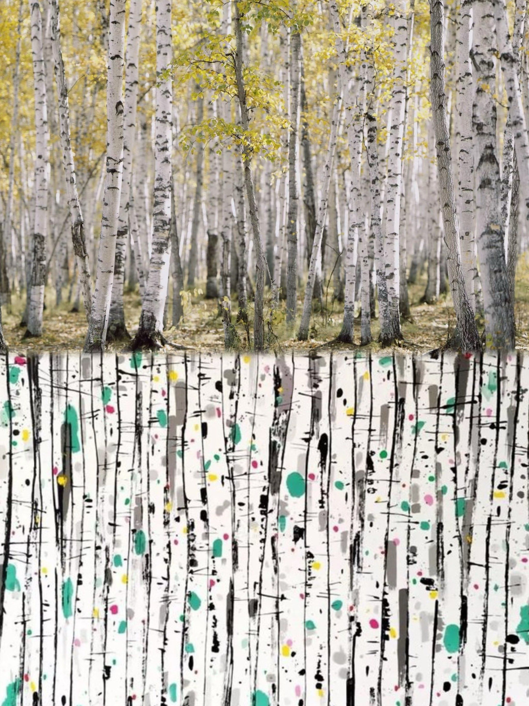 画里赏秋🍂吴冠中笔下的秋日～白桦林