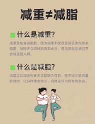 -Fundi张玉珊修身堂·indiba·BTL科技瘦身