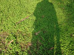 -南国桃园旅游度假区