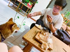 -柴务处·柴犬主题狗咖