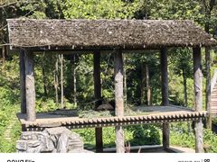 -中国大熊猫保护研究中心雅安碧峰峡基地