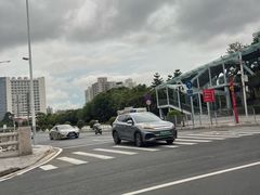-文华公园(禅城区)