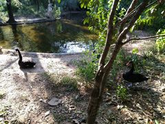 -镇江市南山风景名胜区竹林景区