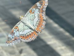 -上海自然博物馆