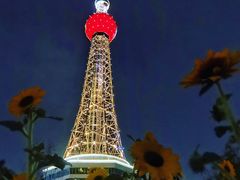 -文华公园(禅城区)