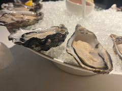 -Oyster Talks 四度蚝法餐厅
