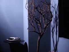 -AOE 火焰 剧本密室狼人杀